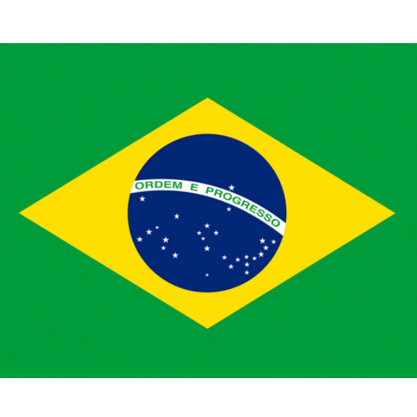 Tecido Tricoline Estampado Bandeira do Brasil 3469-1