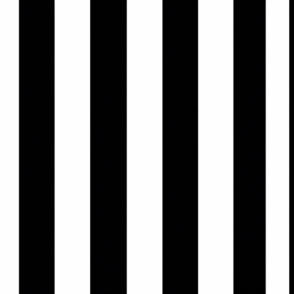 Tecido Tricoline Estampado Listrado Preto 1579-1